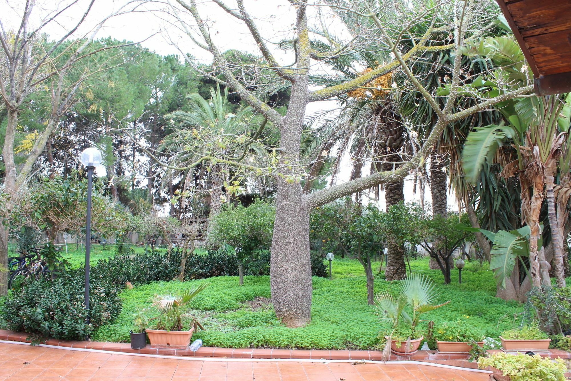 Villa Delle Nifee マツァーラ・デル・ヴァッロ エクステリア 写真
